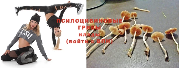мет Касимов