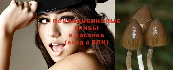 амф Карталы