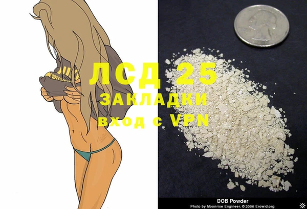 мет Касимов