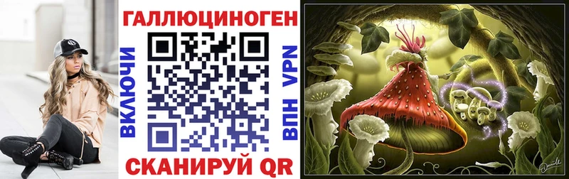 Псилоцибиновые грибы Magic Shrooms  Купить  Михайловск 